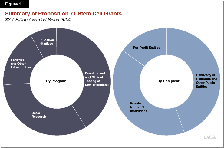 Summary of Proposition 71 Stem Cell Grants