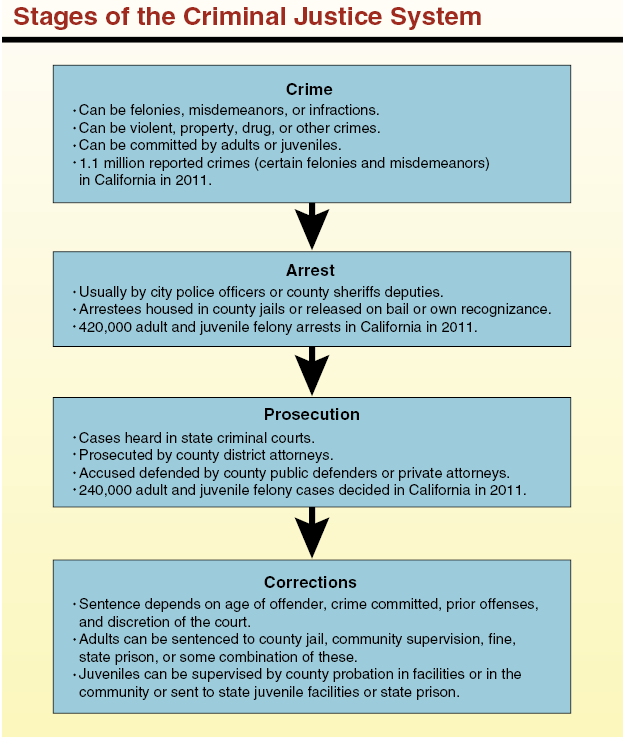 Program In The Criminal Justice System