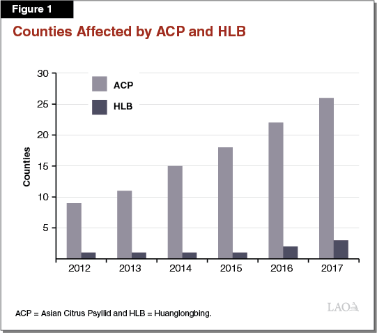 Figure 1 - Counties AFfected by ACP and HLB