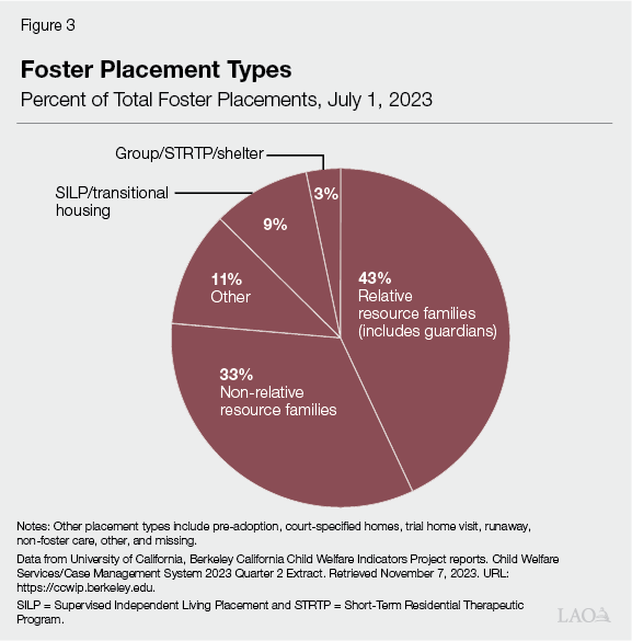 Figure 3 - Foster Placement Types