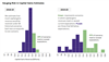 Thumbnail for Gauging Risk in Capital Gains Revenue Estimates