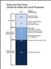 Thumbnail for Breaking Down State and Local Sales Tax Rates