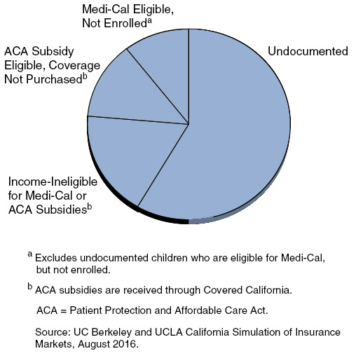 Undocumented Persons Projected To Be Majority of State's Remaining Uninsured Population in 2017