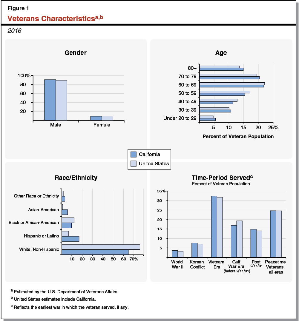 Figure 1 - Veterans Characteristics