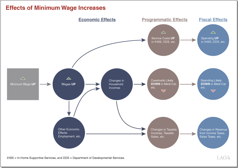 Figure for Effects of Minimum Wage Increases