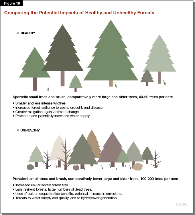 Figure 10 - Comparing the Potential Impacts of Unhealthy and Healthy Forests
