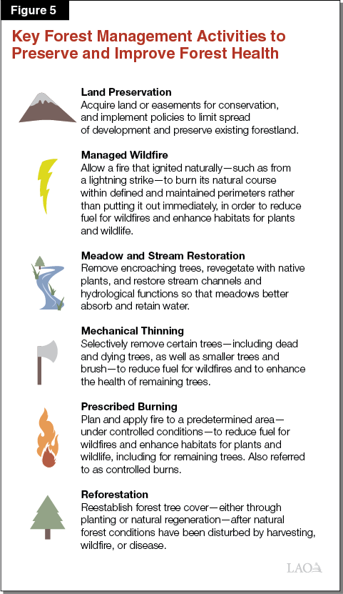 Figure 5 - Key Forest Management Activities to Preserve and Improve Forest Health