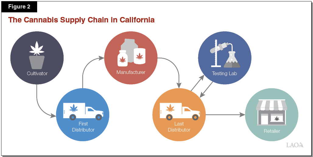 Figure 2 - The Cannabis Supply Chain in California