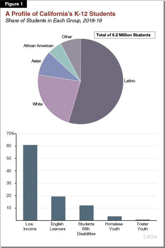 Figure 1 - A Profile of California Students