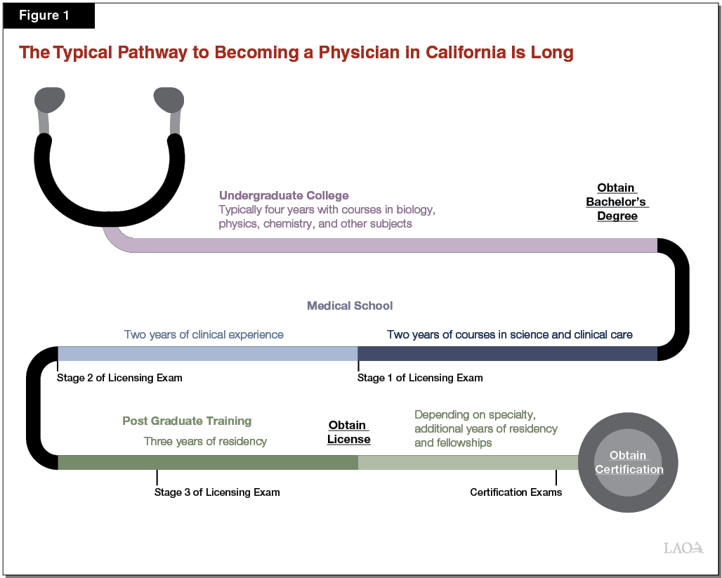 Figure 1 - The Typical Pathway to Becoming a Physician in California is Long