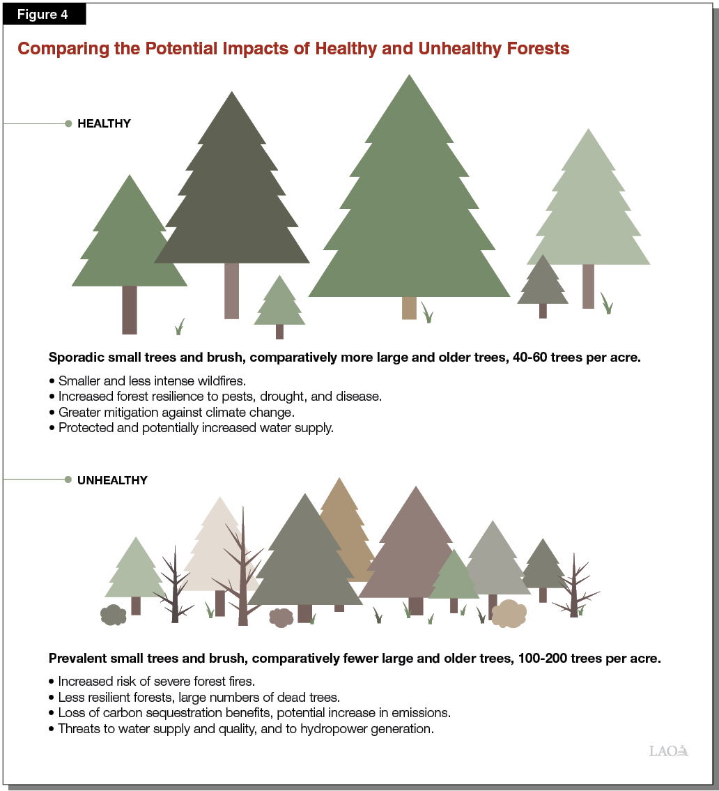 Figure 4 - Comparing the Potential Impacts of Unhealthy and Healthy Forests